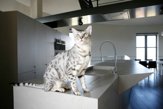 Chateau d'eau - Bham Design Studio