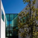 Chão das Giestas House - AVA Architects Chão das Giestas House - AVA Architects © FG+SG – Fernando Guerra, Sergio Guerra