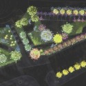 landscape plan landscape plan