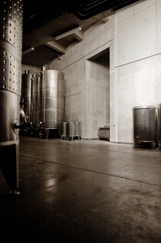 Laposa Winery - Atelier Peter Kis