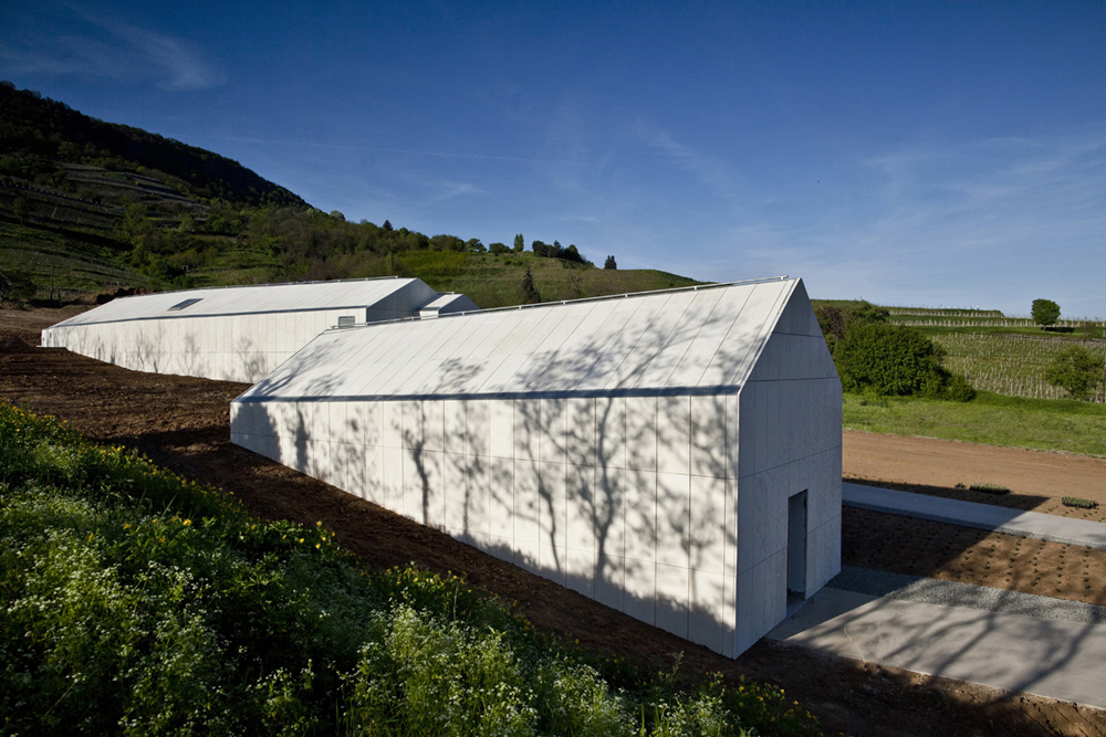 Laposa Winery - Atelier Peter Kis © Zsolt Batár