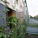 Housing Complex - medusagroup Housing Complex - medusagroup © Miłosz Jaksik