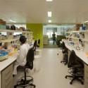 Lowy Cancer Research Centre - Lahznimmo Architects © Brett Boardman