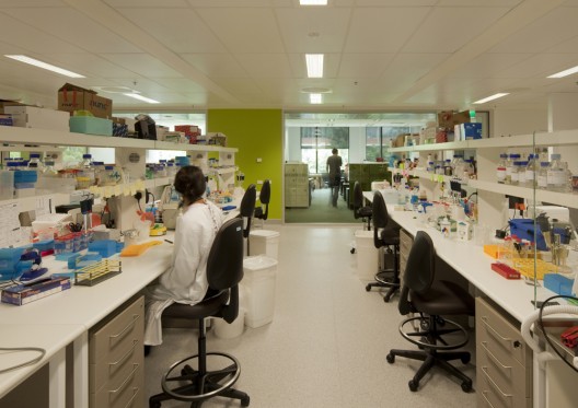 Lowy Cancer Research Centre - Lahznimmo Architects