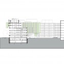 section section