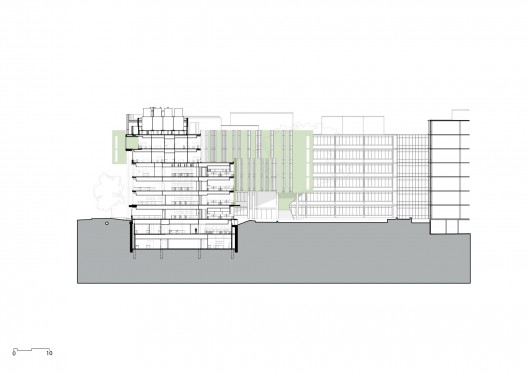 section