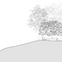 section section section