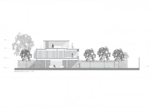 section