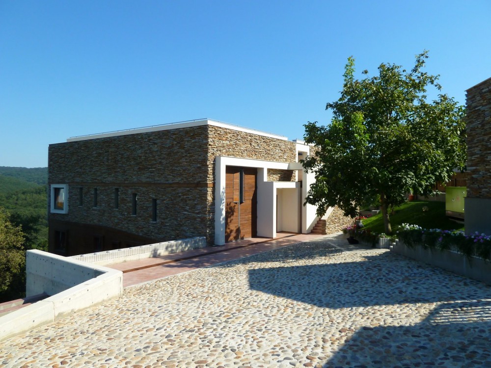 Large Home Tree / Ignatov Architects