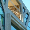 Large Home Tree - Ignatov Architects Large Home Tree - Ignatov Architects © Courtesy of Ignatov Architects