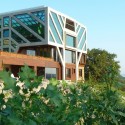 Large Home Tree - Ignatov Architects Large Home Tree - Ignatov Architects © Courtesy of Ignatov Architects