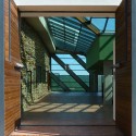 Large Home Tree - Ignatov Architects Large Home Tree - Ignatov Architects © Courtesy of Ignatov Architects