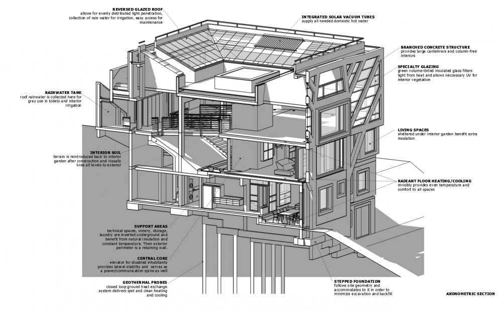 Large Home Tree / Ignatov Architects