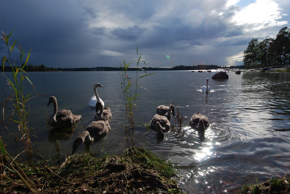 The Shaman’s Haven of the Kalevala