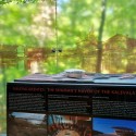 The Shaman's Haven of the Kalevala - Travis Price © Travis Price