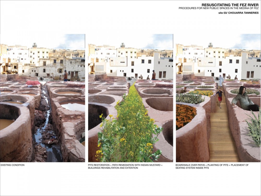 Awards competitions lift profile of sustainability projects