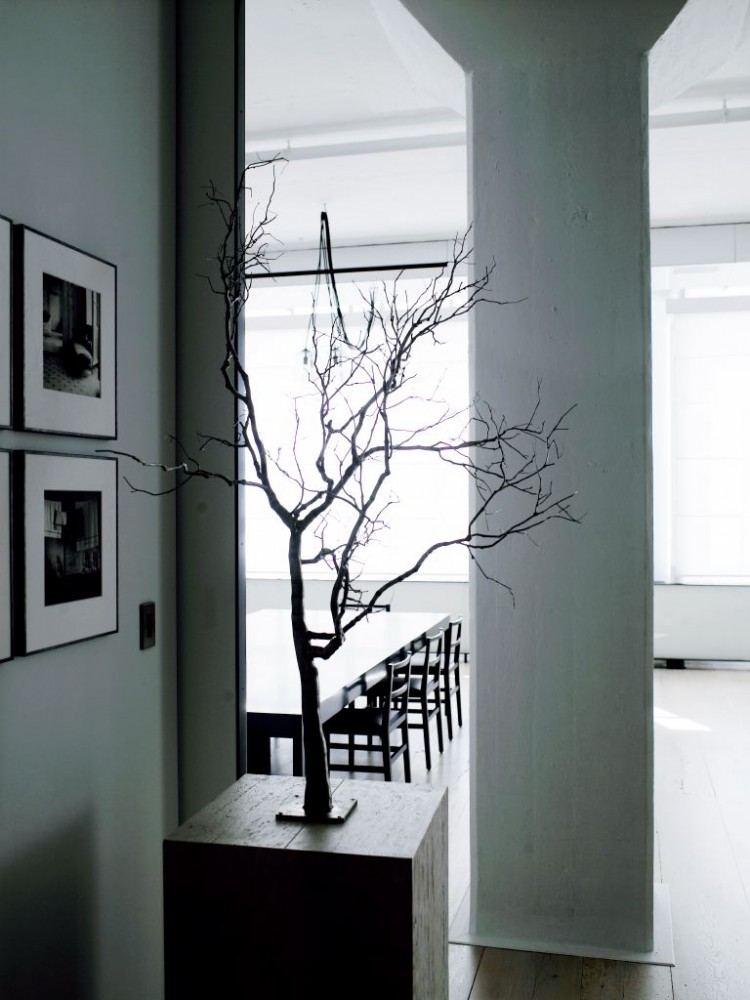Tribeca Loft / Fearon Hay Architects