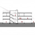 section section