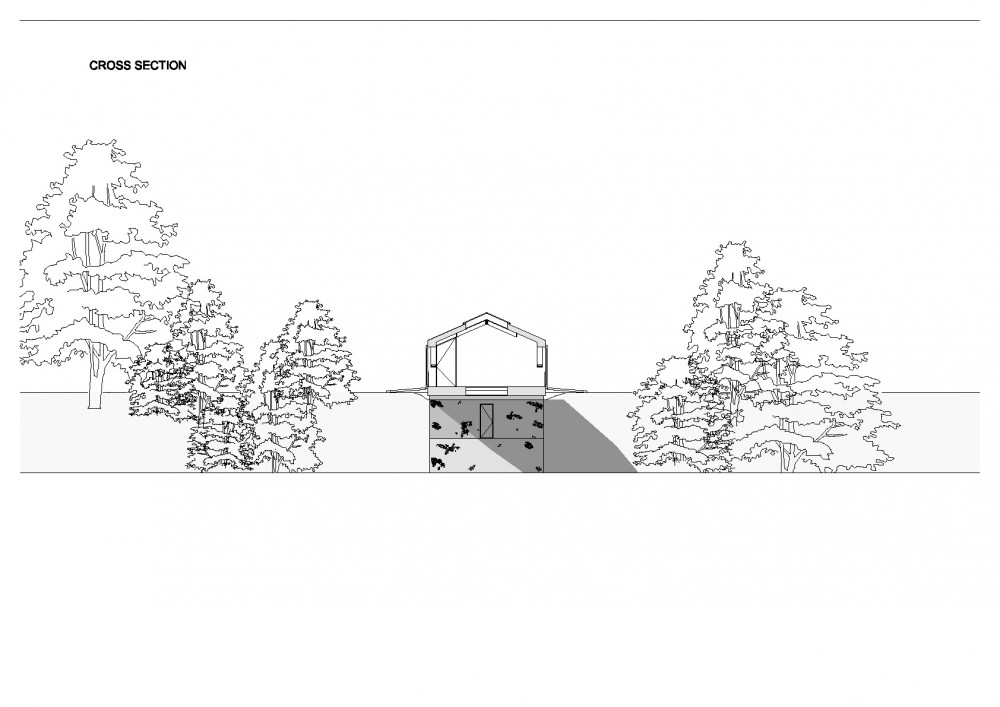 Section Section
