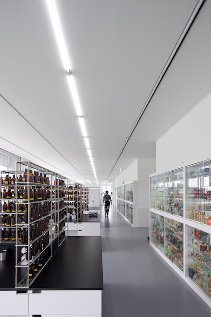 Amore Pacific Research & Design Center / Alvaro Siza, Carlos Castanheira and Kim Jong Kyu