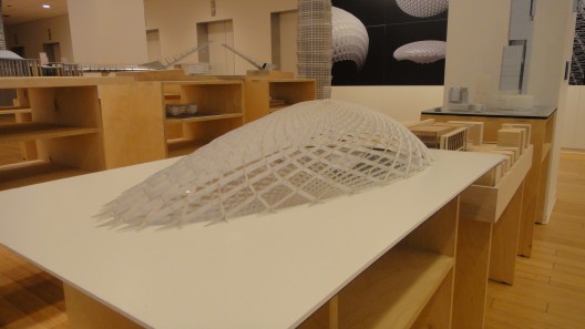 DSC00061 Models of SOM project