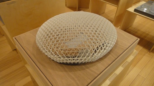 DSC00067 Models of SOM project