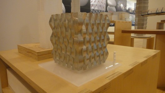 DSC00068 Models of SOM project