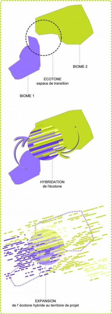 A Campus Lived for a Sensory City / N+B, C+D & Hitoshi Abe