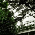 Fondation Cartier © David Gallagher
