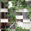 Kiri's House - Atelier Riri