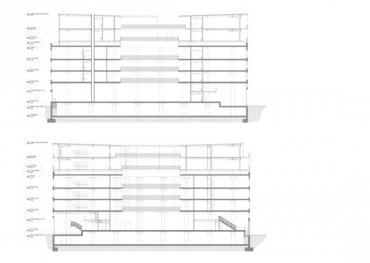 section