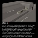 Pod Market / Ben Walker Stage 1