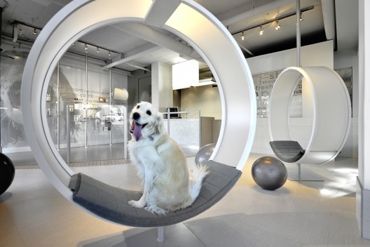 Unleashed Dog Spa / Square One Interiors