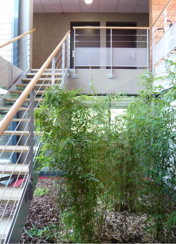 Saint Germain Du Bois Medical Center / Arcad’26