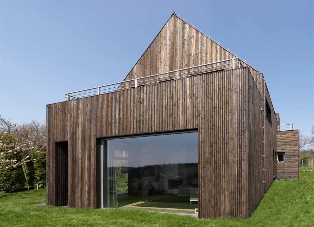 Single Family House / Wizja Architects © Wojciech Kryński