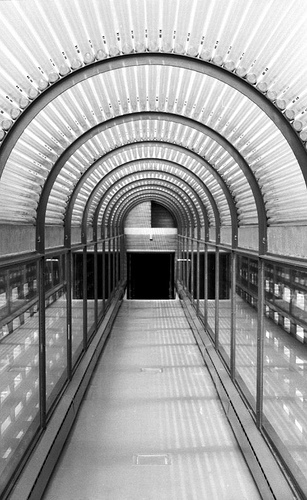 AD Classics: S.C. Johnson and Son Administration Building / Frank Lloyd Wright