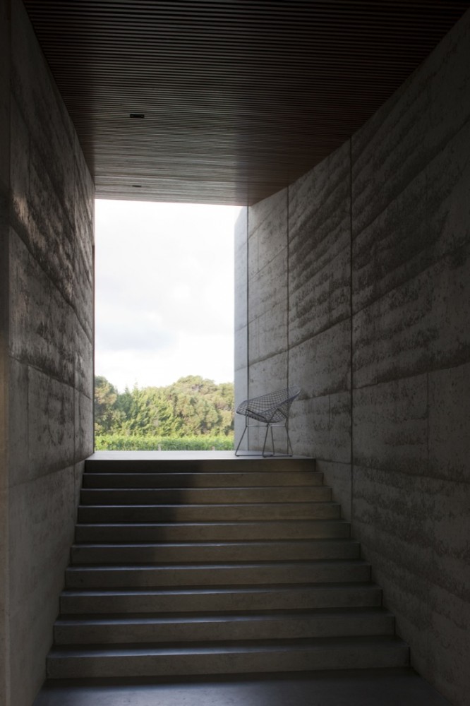 Merricks House / Wood/Marsh