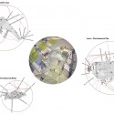 Smart Future Minds Award: Project Lighting Device / GilBartolome ADW (7) Courtesy of GilBartolome ADW