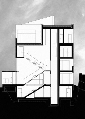 section