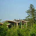 Aquamundo - Center Parcs Moselle / ARTUR Architectes Mandataire Aquamundo - Center Parcs Moselle / ARTUR Architectes Mandataire © ARTUR Architectes Mandataire