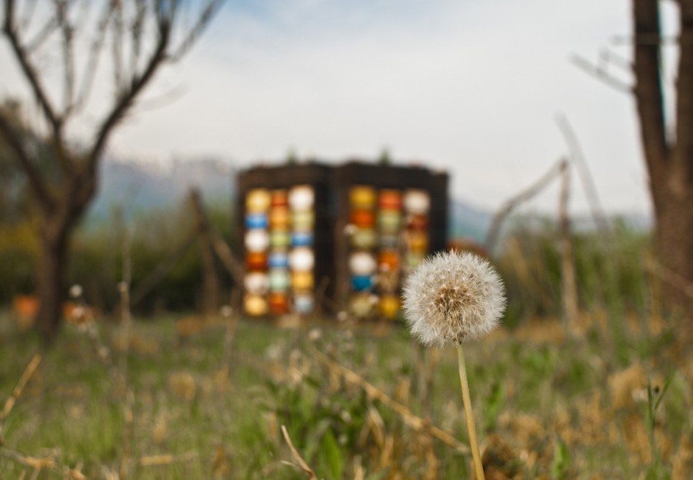 Anthophilatorio / Eduardo Cancino, Alejandra Pérez
