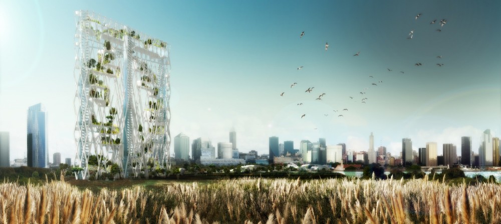 Vertical Safari / Influx_Studio