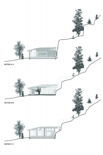 sections