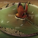 The Floating States of Maldives / FLaT Courtesy of FLaT