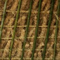 Bamboo Structure Project / Pouya Khazaeli Parsa © Pouya Khazaeli Parsa