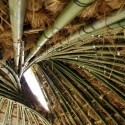Bamboo Structure Project / Pouya Khazaeli Parsa © Pouya Khazaeli Parsa