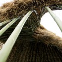 Bamboo Structure Project / Pouya Khazaeli Parsa © Pouya Khazaeli Parsa