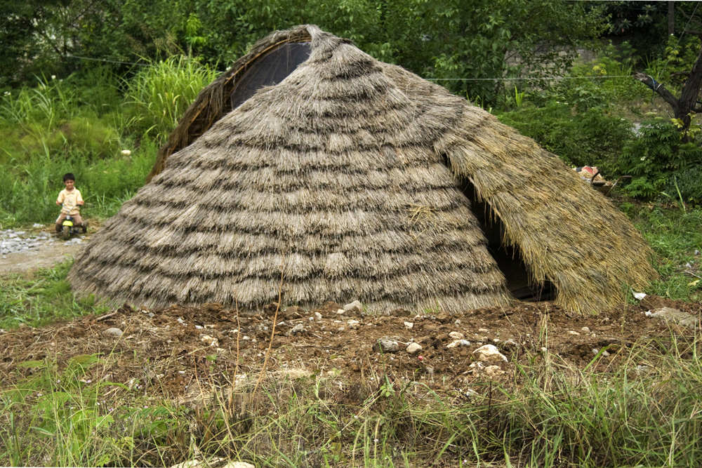 Bamboo Structure Project / Pouya Khazaeli Parsa