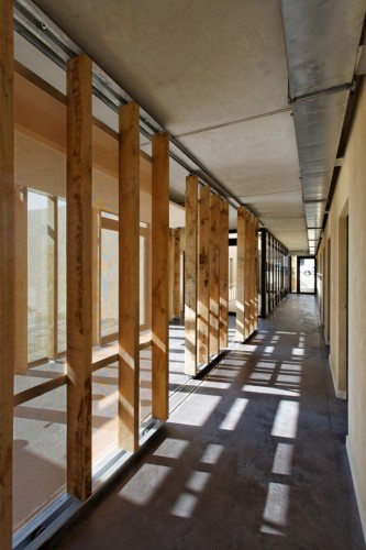 Les Ganivelles - Joly&Loiret