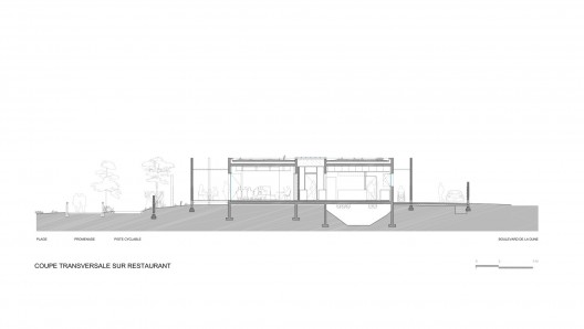 section